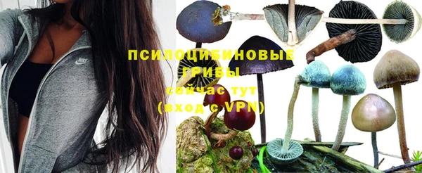 ALPHA PVP Беломорск