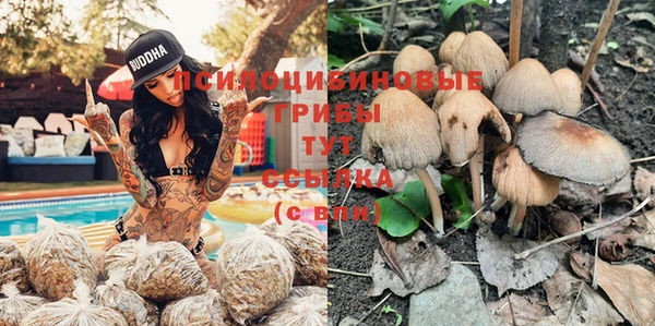 ALPHA PVP Беломорск