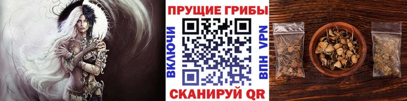Галлюциногенные грибы Cubensis Пыть-Ях
