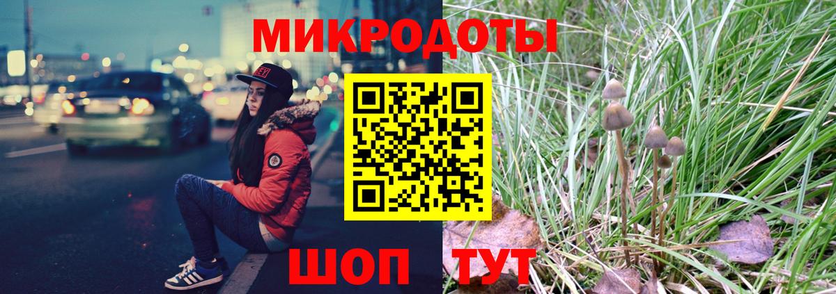 Псилоцибиновые грибы Psilocybine cubensis Пыть-Ях