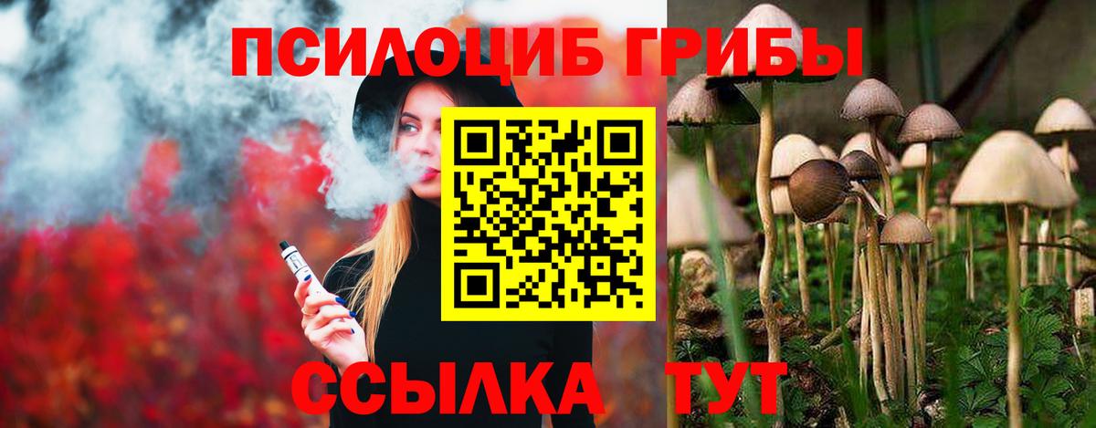 Псилоцибиновые грибы Psilocybine cubensis  Вход с VPN  Пыть-Ях  Псилоцибиновые грибы Psilocybe 